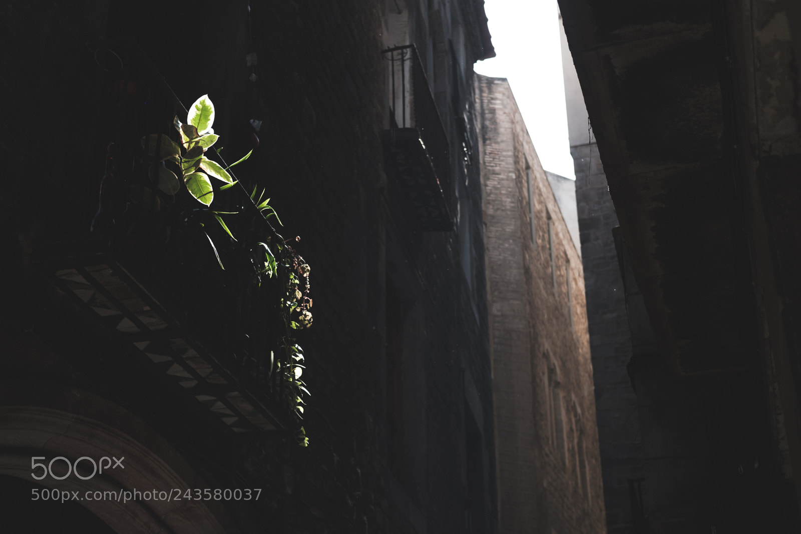 Fujifilm X-Pro2 sample photo. Barcelona alley photography