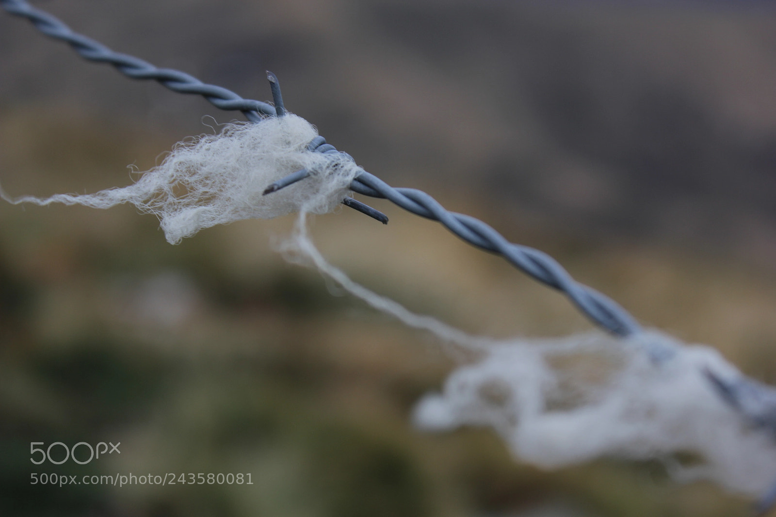 Canon EF-S 18-55mm F3.5-5.6 IS sample photo. Valles pasiegos photography