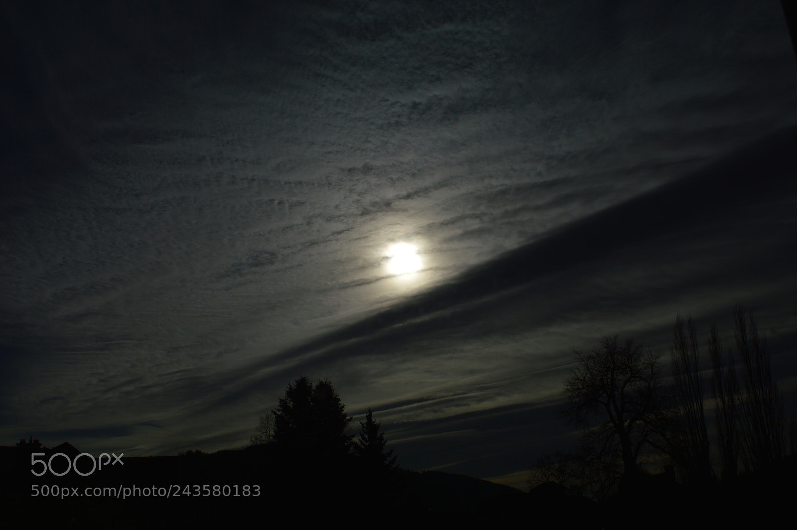 Nikon D3200 sample photo. Untitled photography
