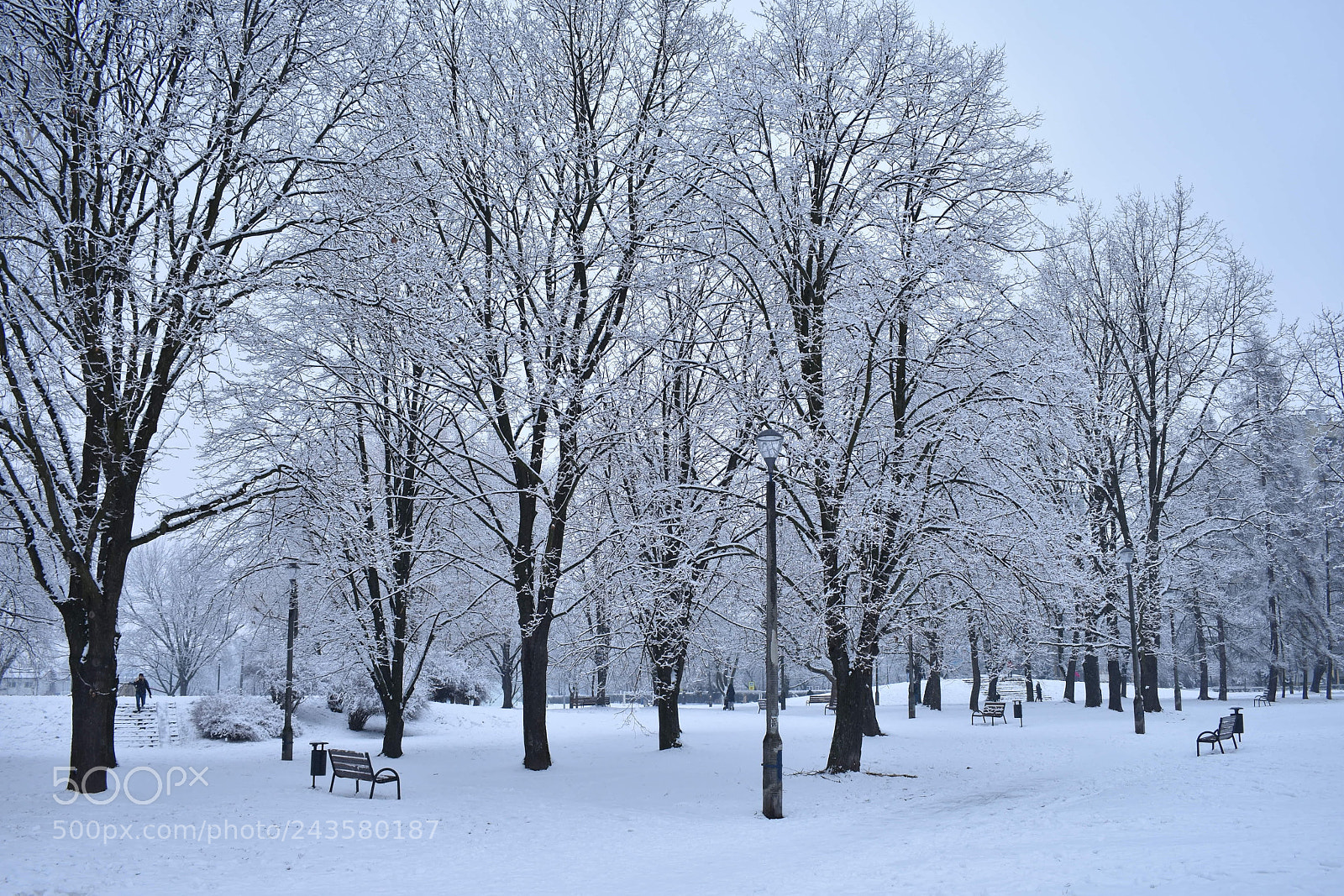 Nikon D3400 sample photo. Branco da neve photography