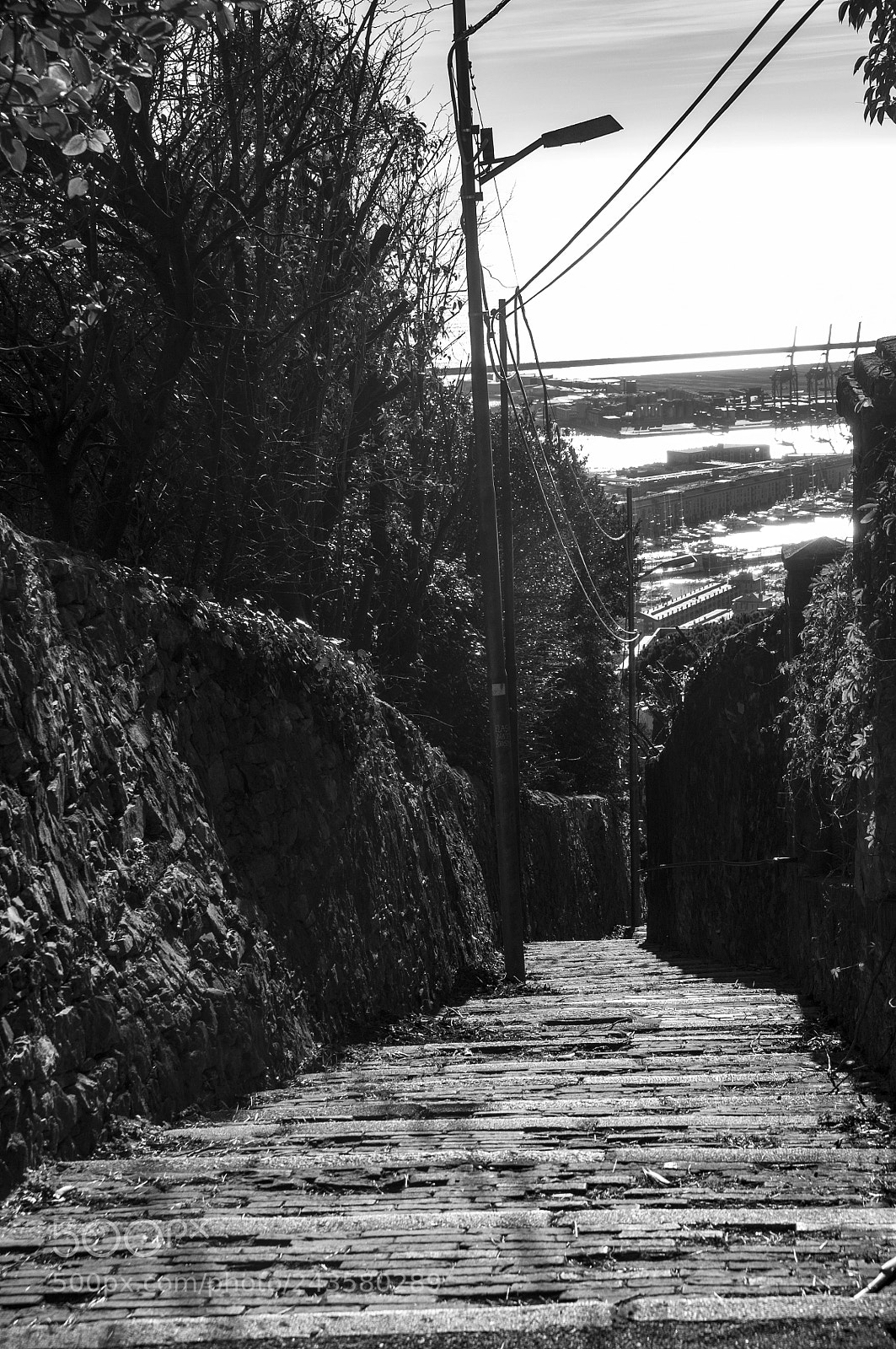 Nikon D300 sample photo. Righi photography