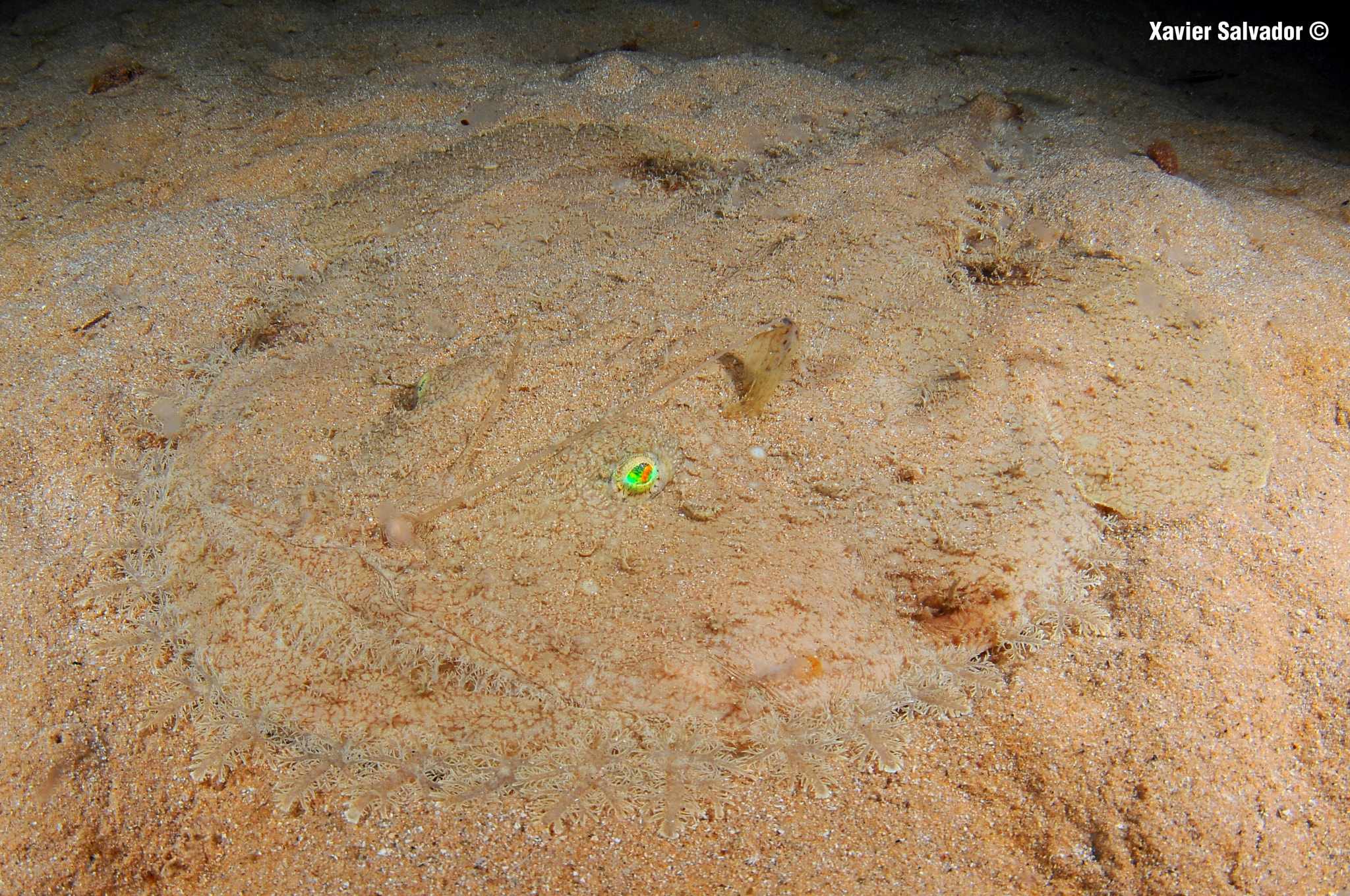Nikon D90 sample photo. Ghost in the sand photography