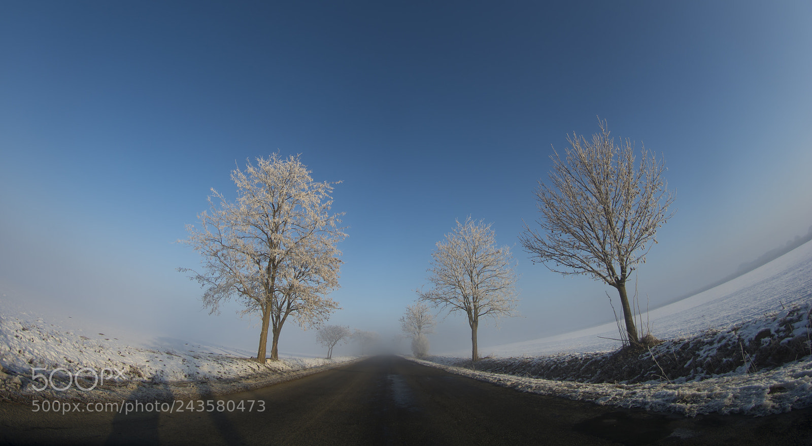 Nikon D7100 sample photo. Winter photography