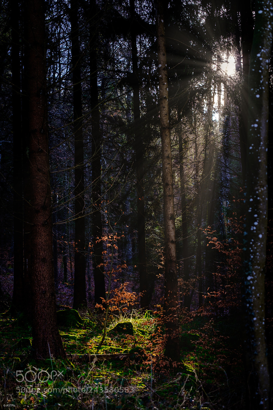 Fujifilm X-T20 sample photo. Dieser g ttliche moment photography