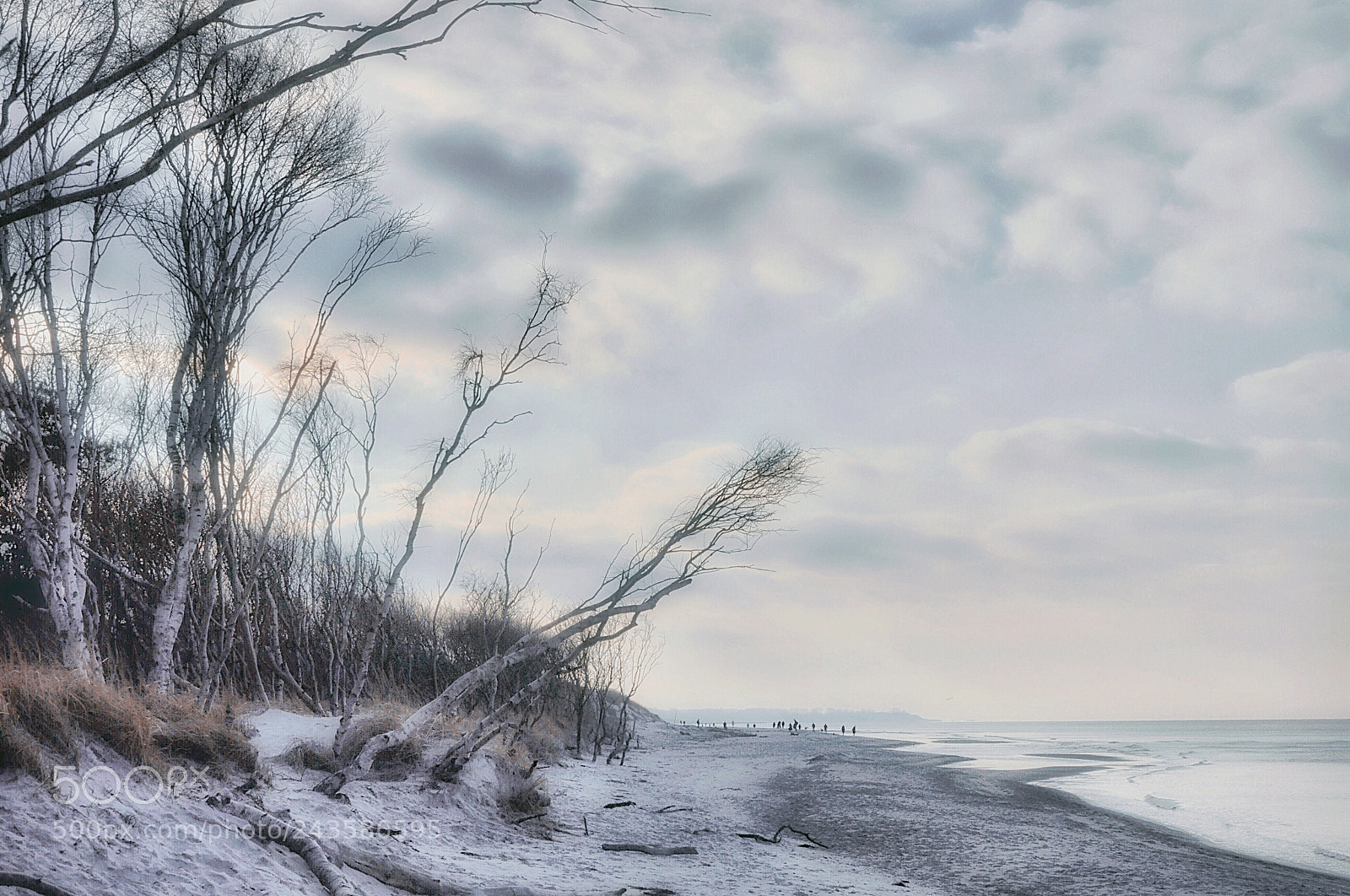 Nikon D5000 sample photo. Nationalpark vorpommersche boddenlandschaft weststrand photography