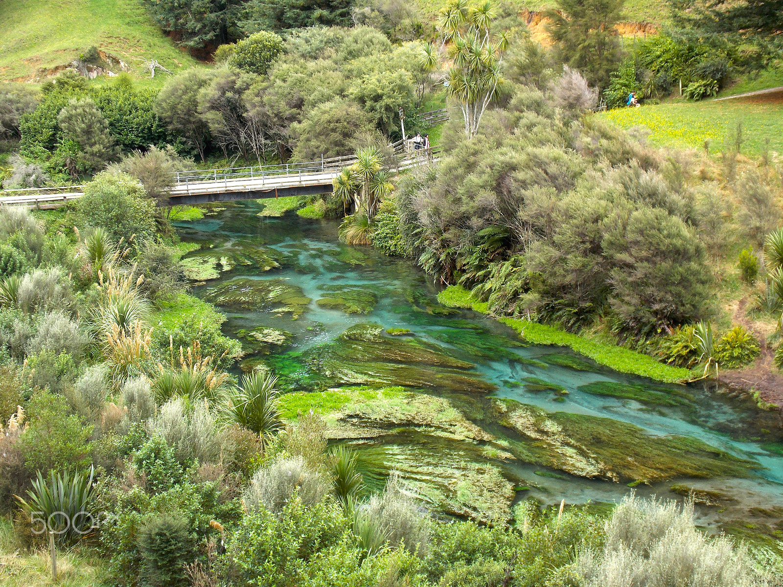 Nikon COOLPIX L320 sample photo. Clean green new zealand photography