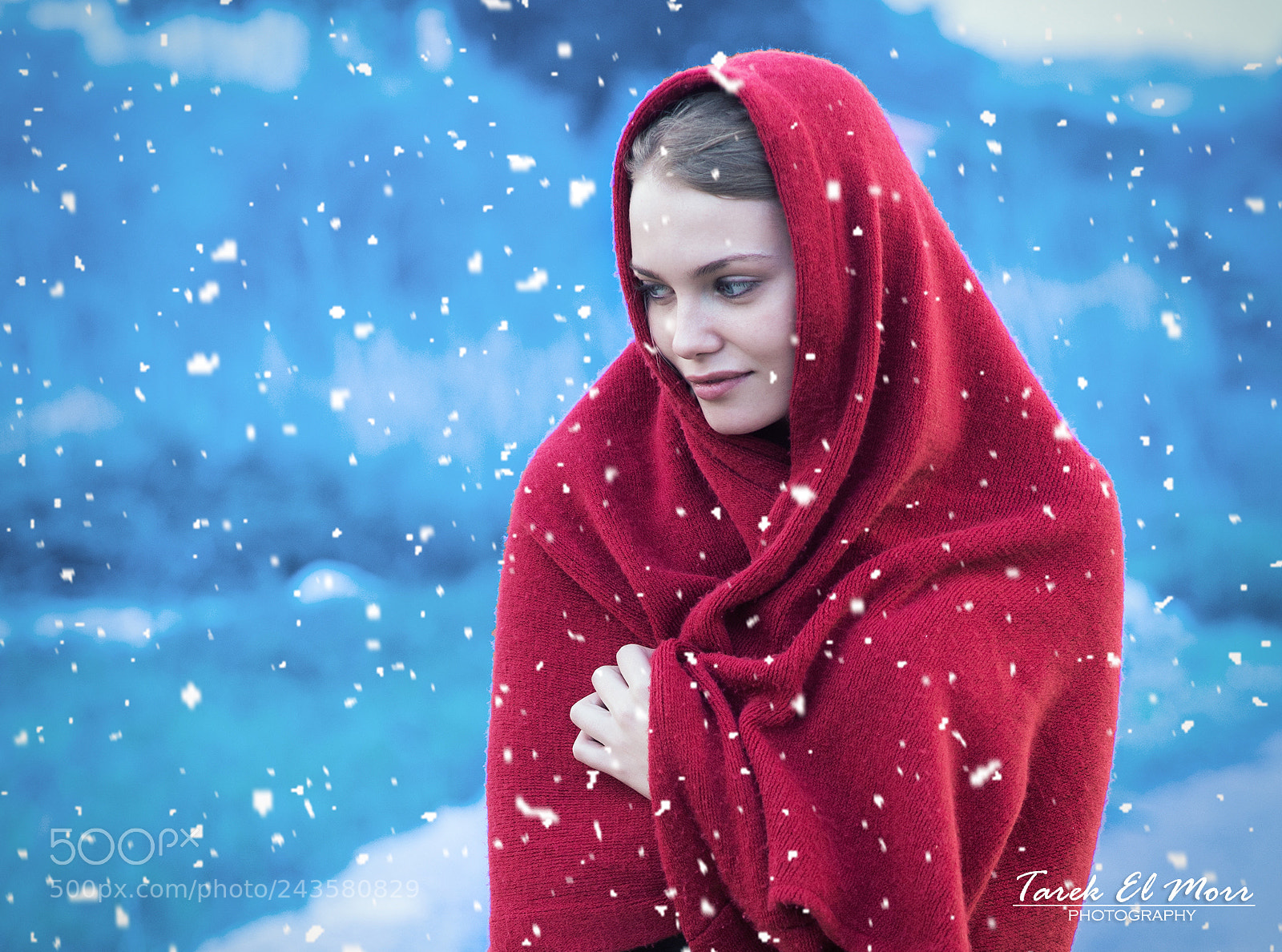 Nikon D610 sample photo. When snow falls, nature photography