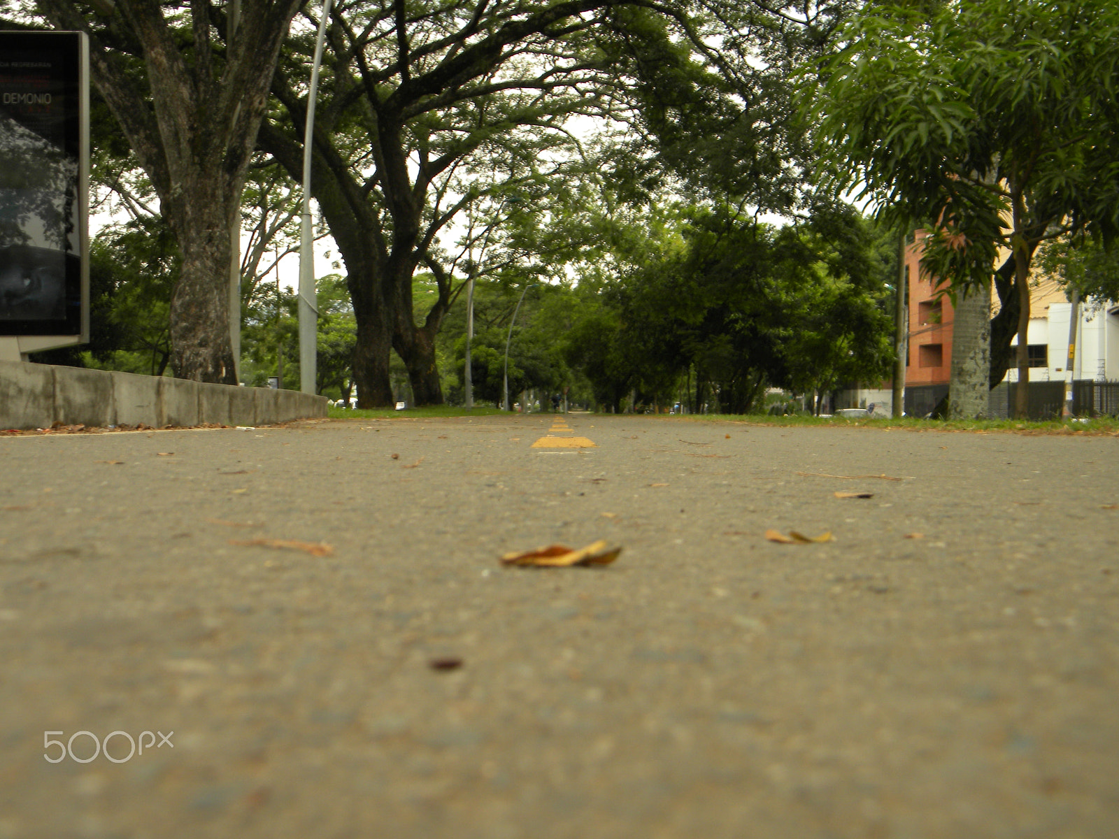 Nikon Coolpix L100 sample photo. Ciclovia photography