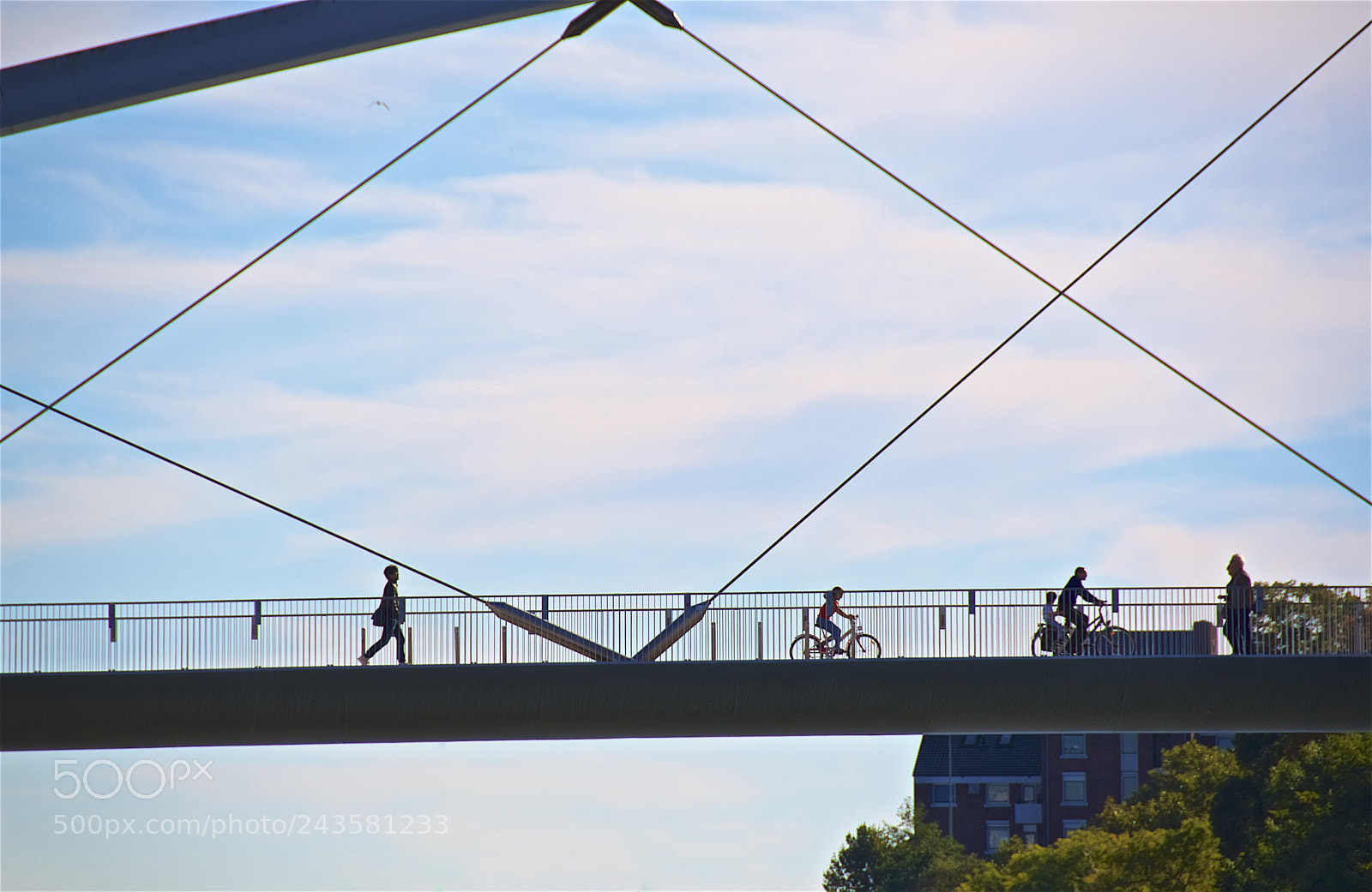 Nikon D500 sample photo. Crossing photography