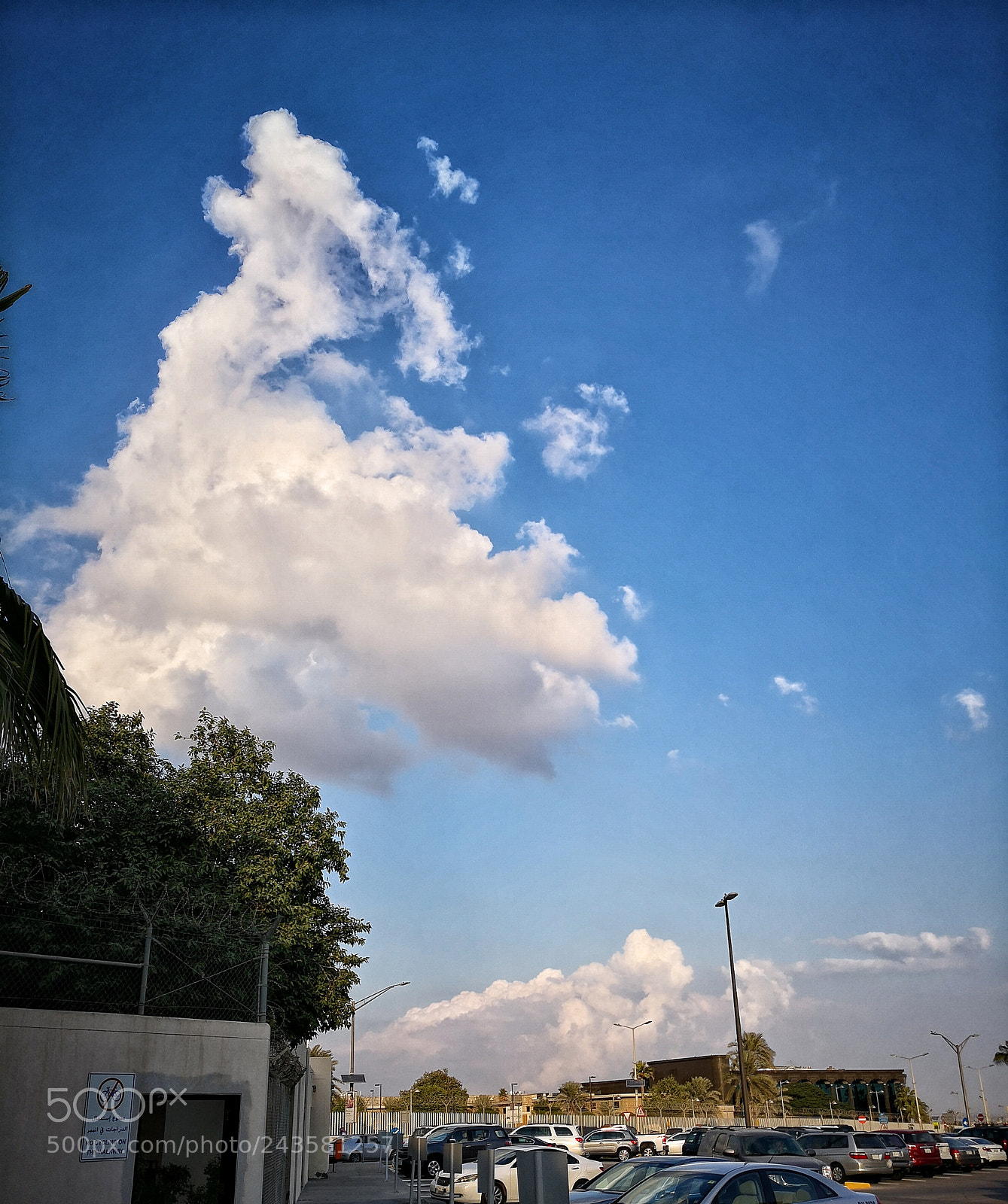 HUAWEI Mate 10 sample photo. Nature photography