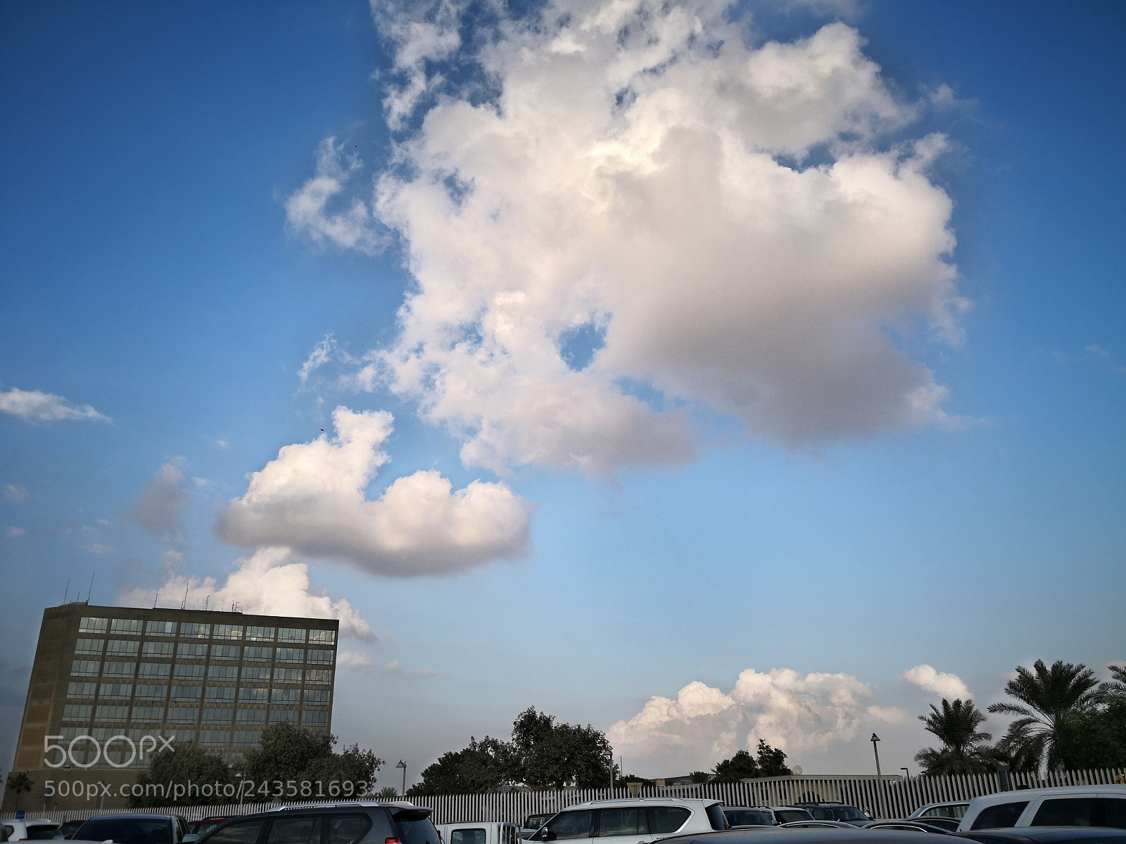 HUAWEI Mate 10 sample photo. Cotton candy photography