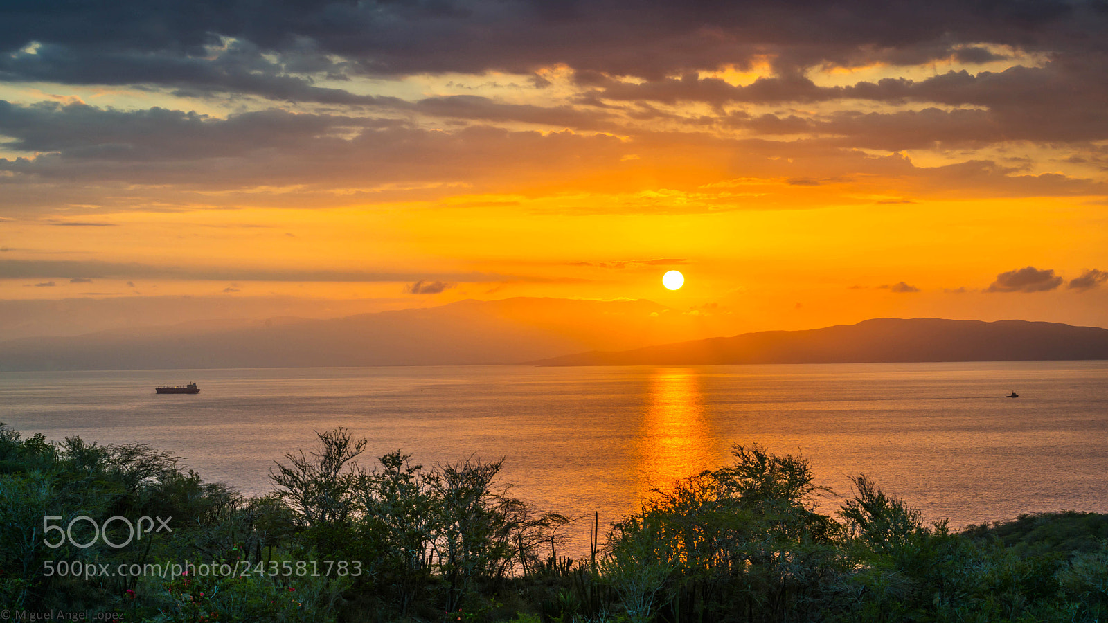 Nikon D800 sample photo. Sun photography