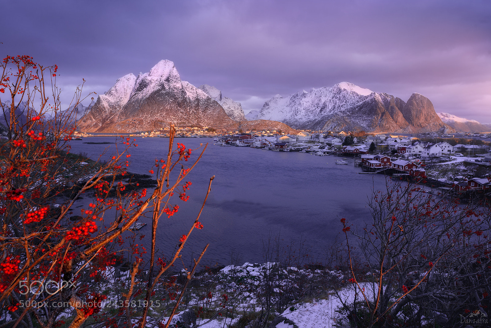 Nikon D800 sample photo. Reine blossom out photography