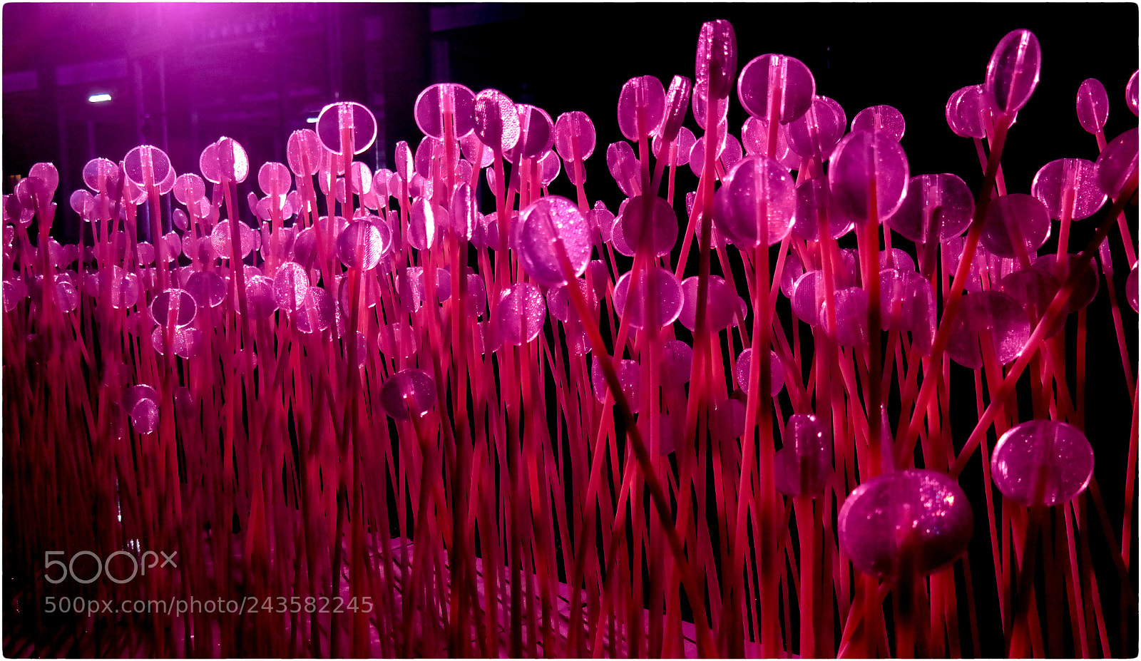 Samsung NX300 sample photo. Lumiere london - kings photography