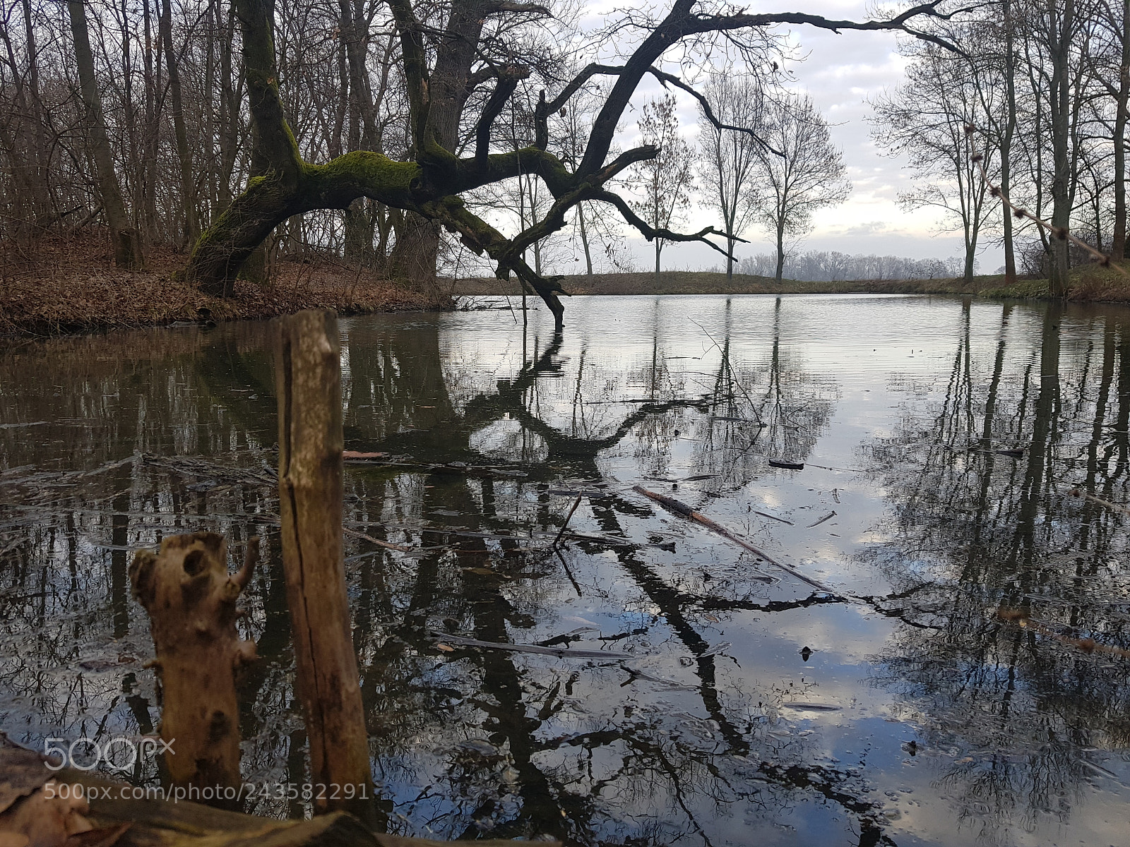 Samsung Galaxy S8+ sample photo. Untitled photography