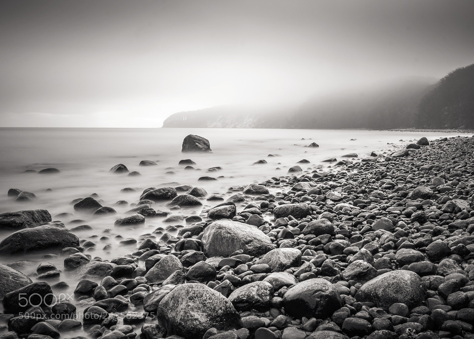 Fujifilm X-T10 sample photo. Binz photography