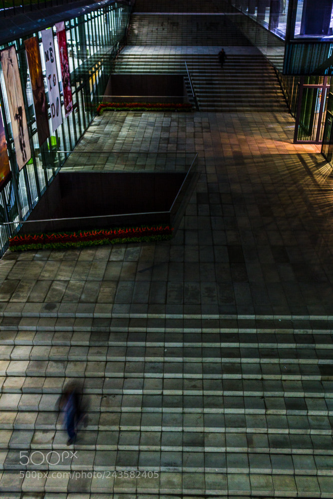 Canon EOS 600D (Rebel EOS T3i / EOS Kiss X5) sample photo. A lot of stairs photography