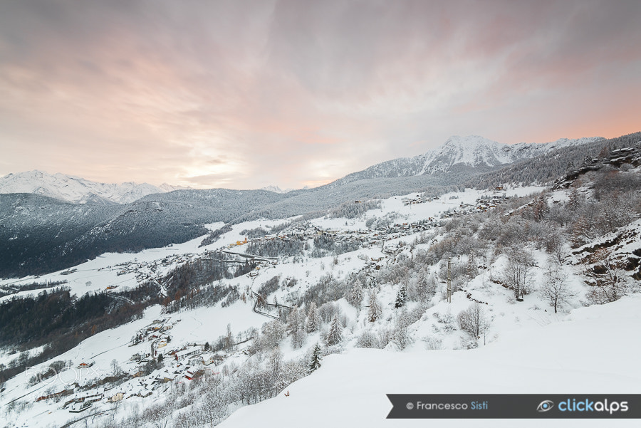 Nikon D810 sample photo. The sunset brush torgnon photography