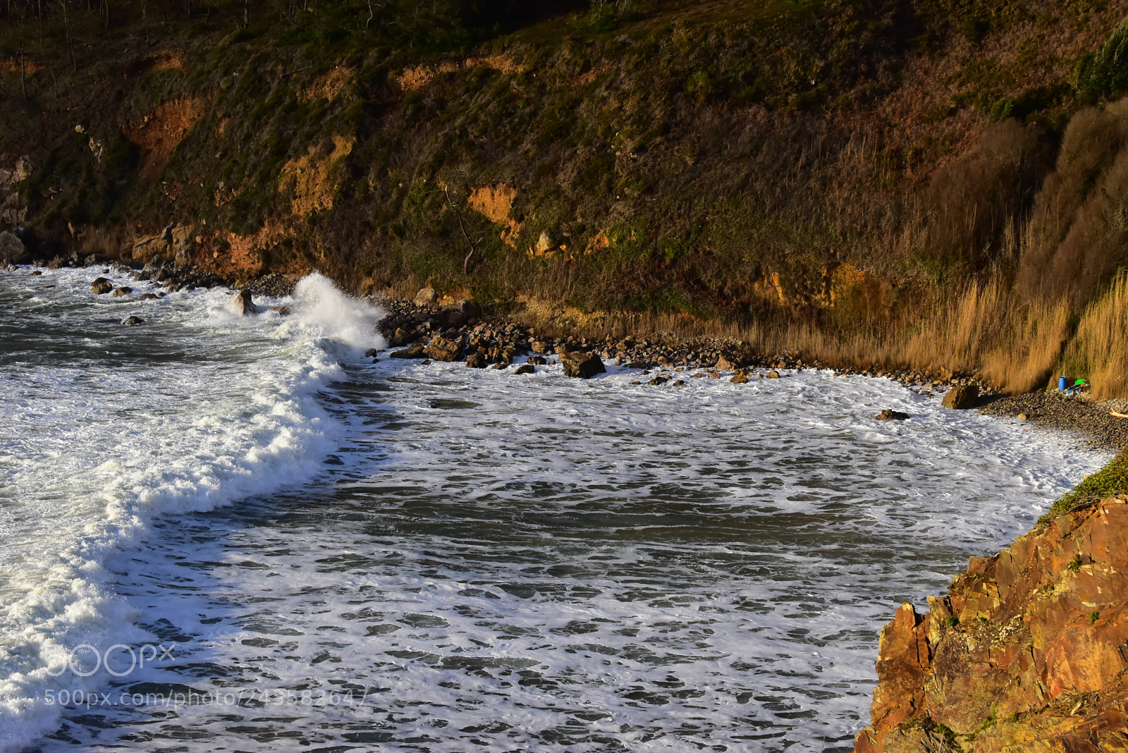 Nikon D5500 sample photo. 2018 in french brittany photography