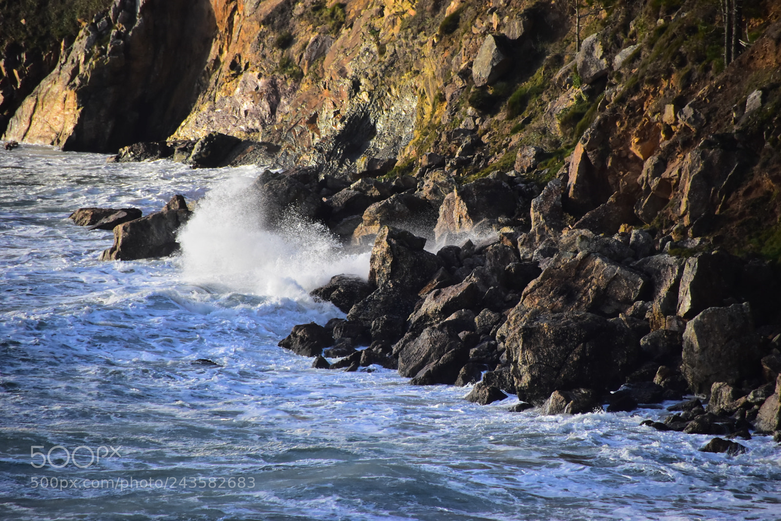 Nikon D5500 sample photo. 2018 in french brittany photography