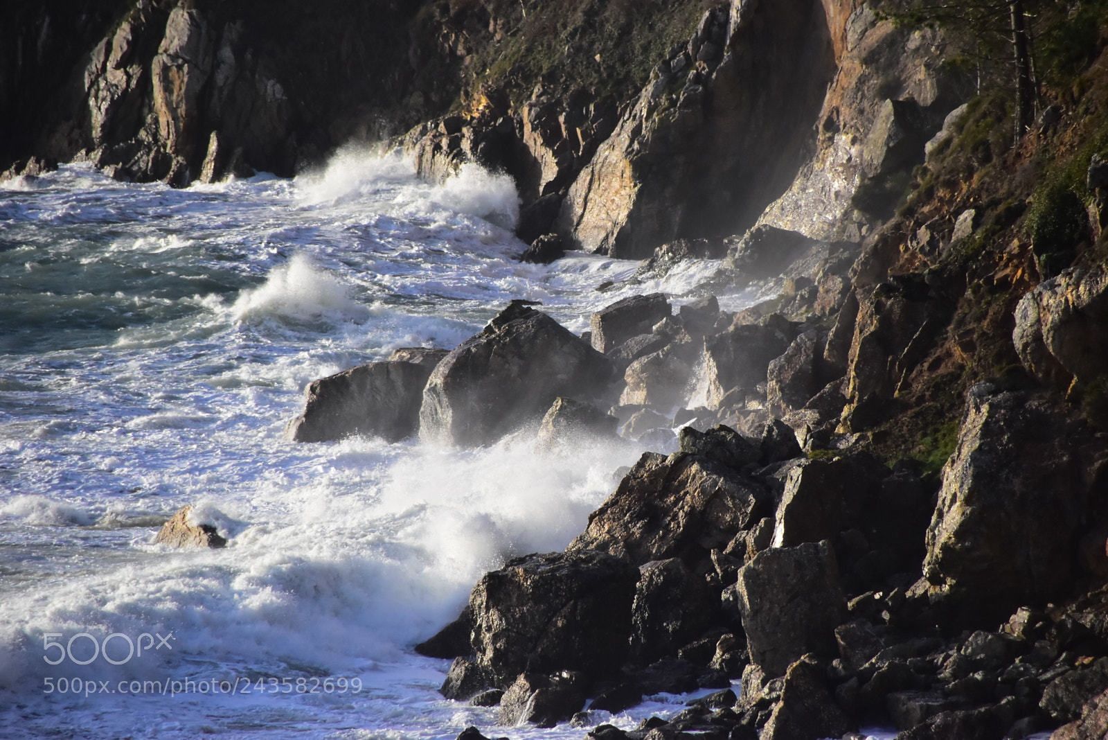 Nikon D5500 sample photo. 2018 in french brittany photography