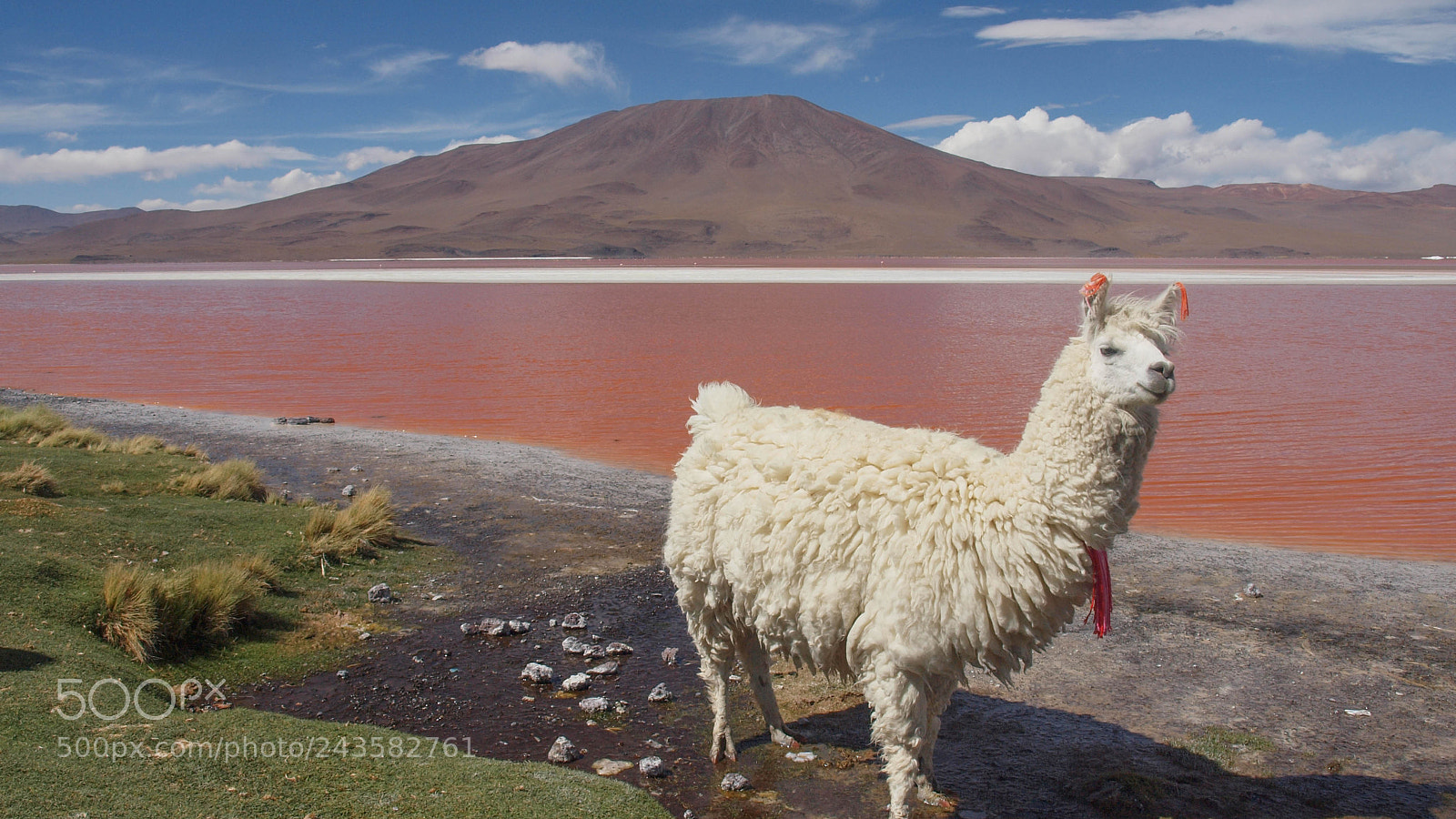Olympus E-620 (EVOLT E-620) sample photo. Llama lake photography