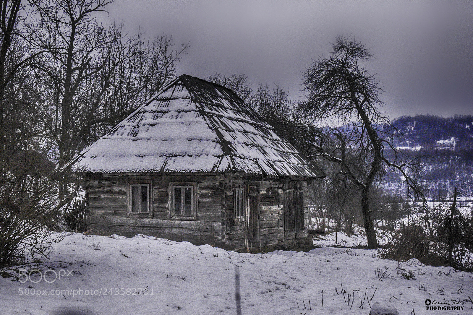 Nikon D5600 sample photo. Romanian old house photography