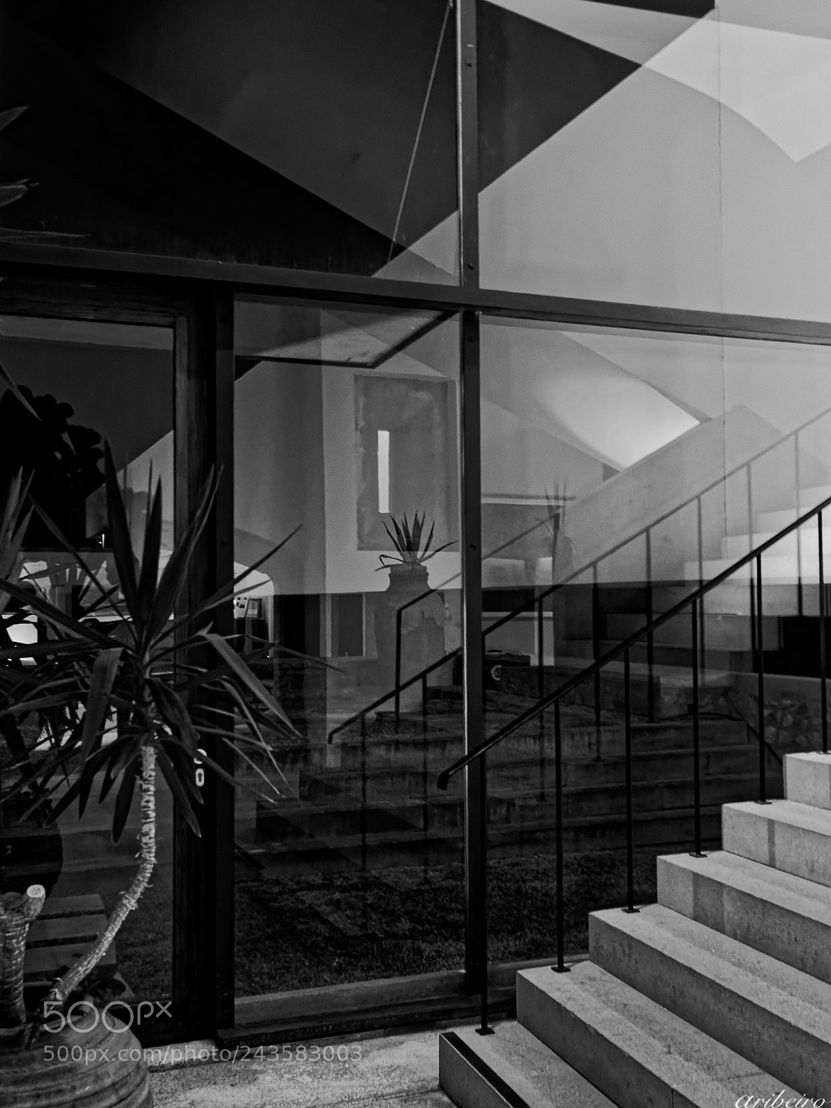 Olympus PEN-F sample photo. Reflections photography