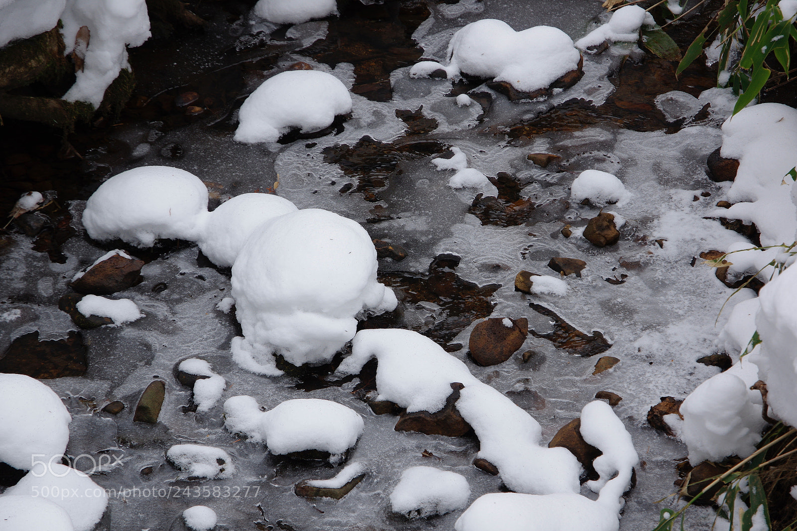 Pentax K-3 II sample photo. Frozen photography