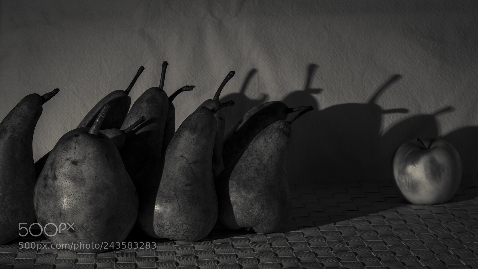 Nikon D7100 sample photo. Threatened photography