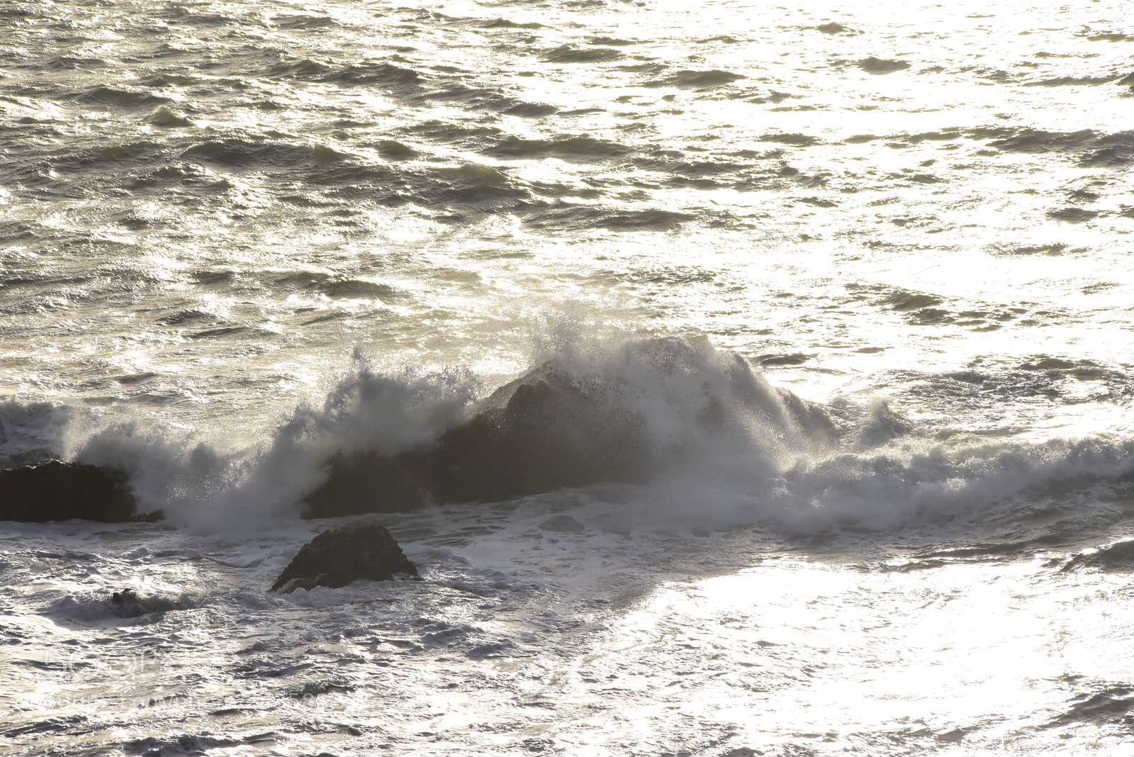 Nikon D5500 sample photo. 2018 in french brittany photography