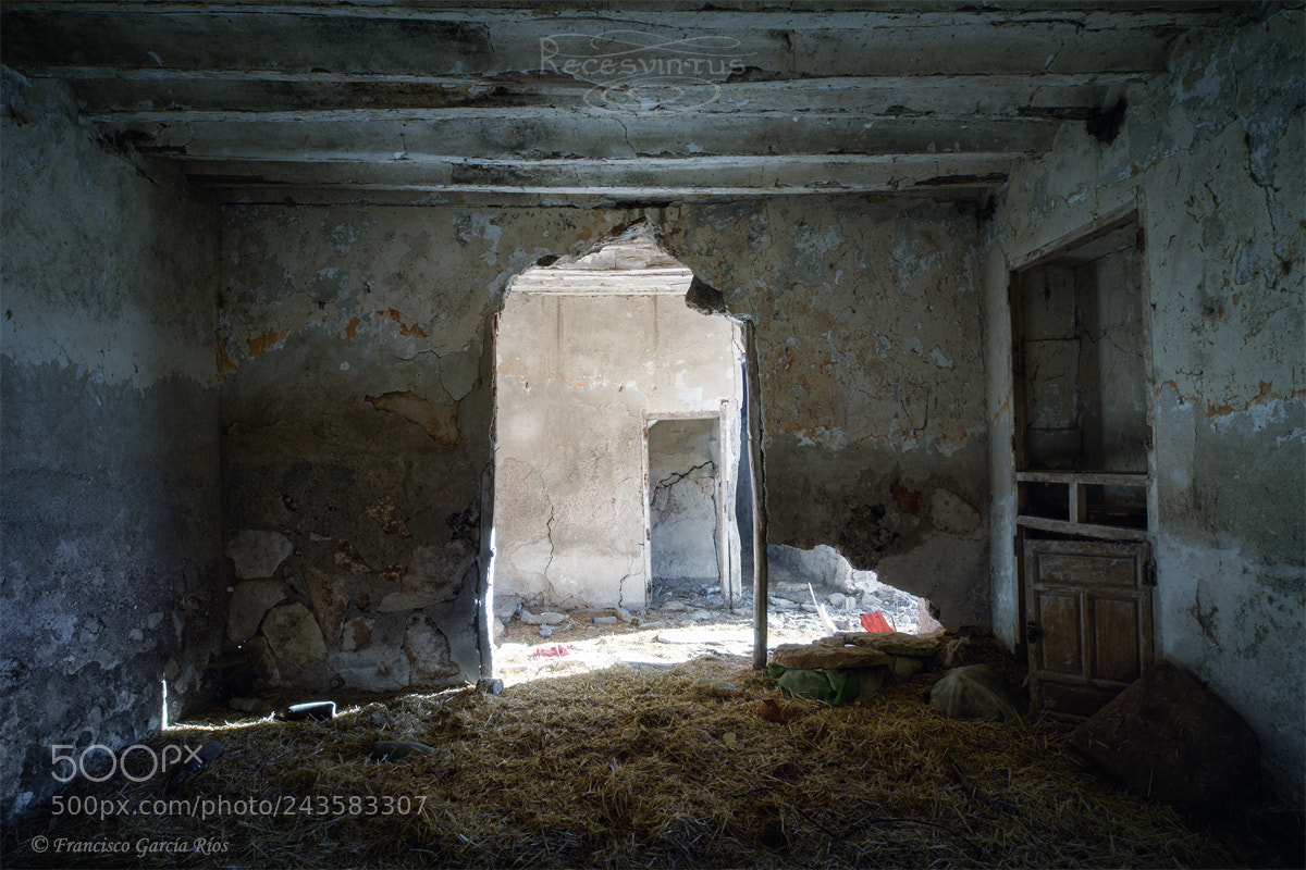 Canon EOS 50D sample photo. Forgotten histories. photography