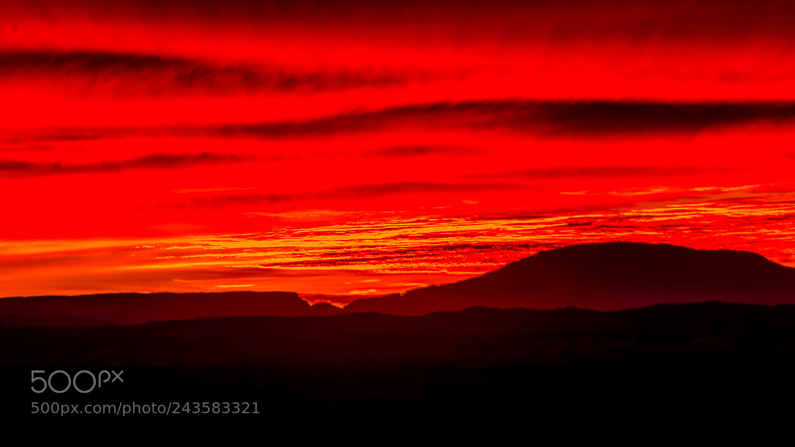 Nikon D610 sample photo. Red sunrise photography