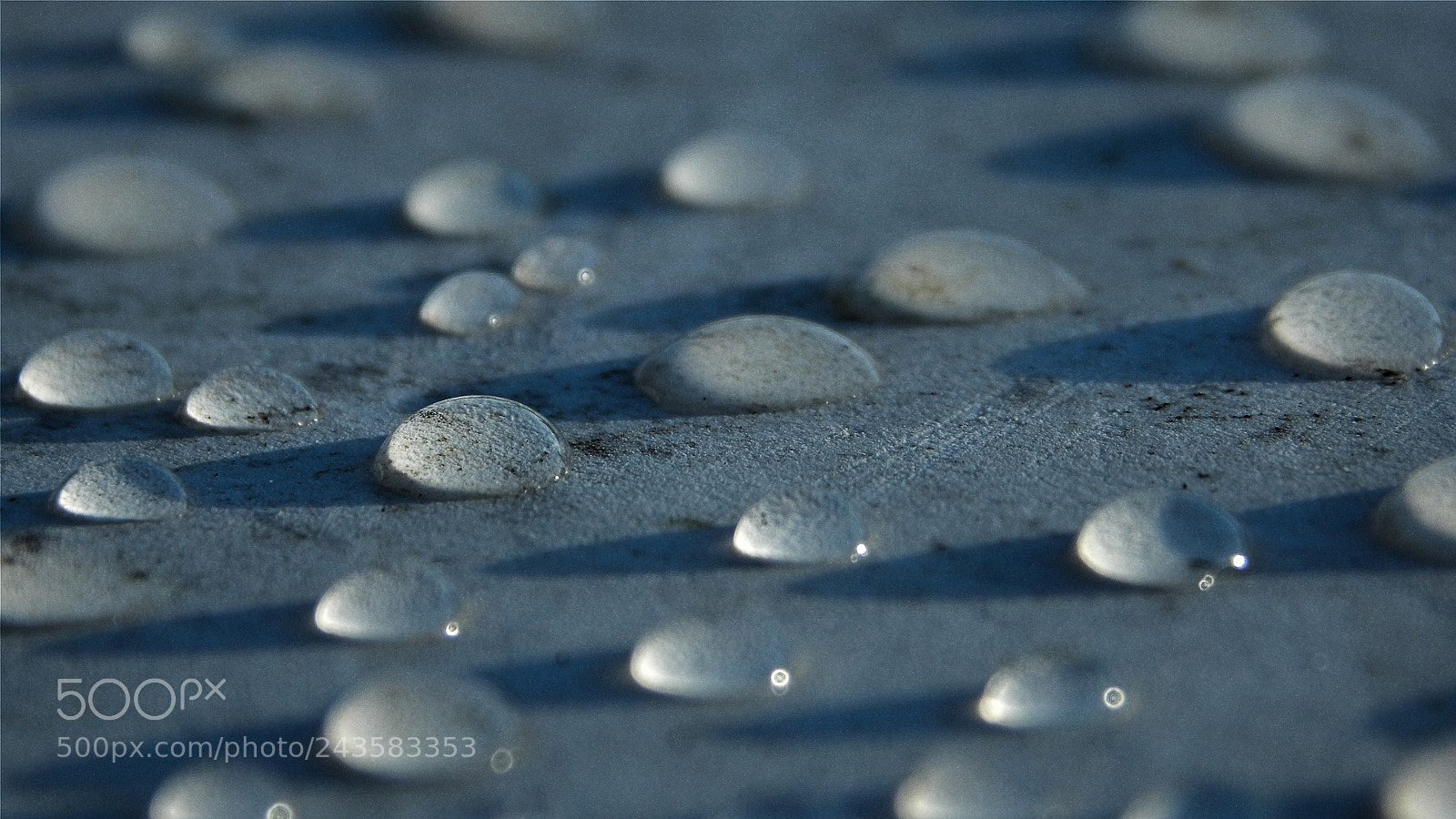 Nikon Coolpix L830 sample photo. Dew.jpg photography
