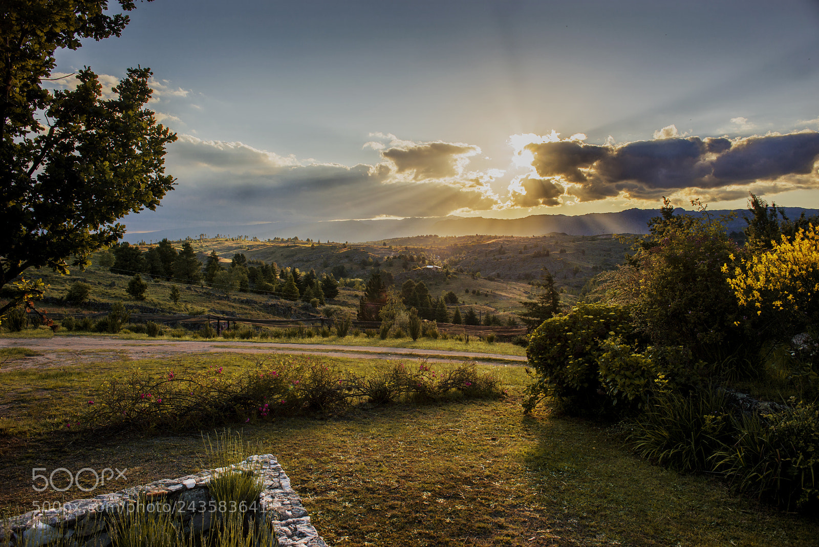 Nikon D600 sample photo. Paisaje de calamuchita la photography