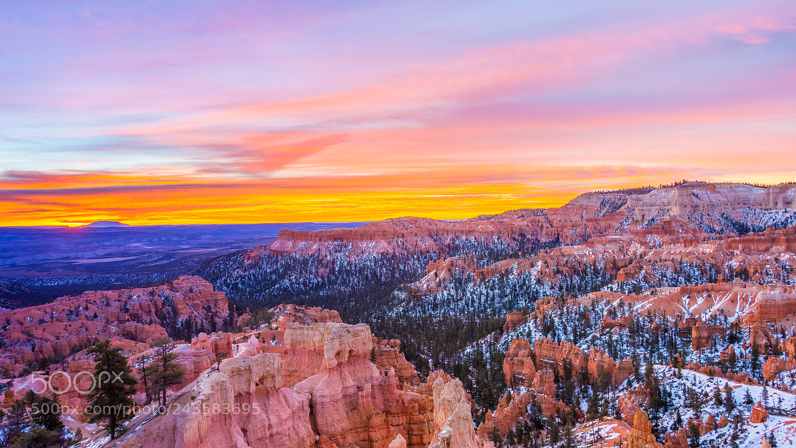 Nikon D610 sample photo. Snow morning in bryce photography