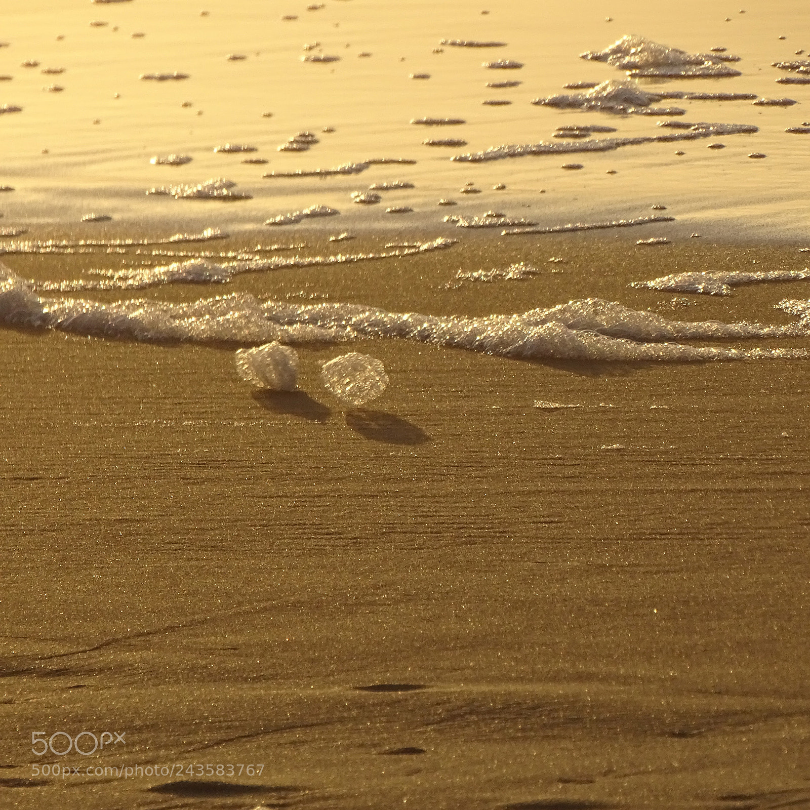 Sony Cyber-shot DSC-HX400V sample photo. Sea foam rolling in photography