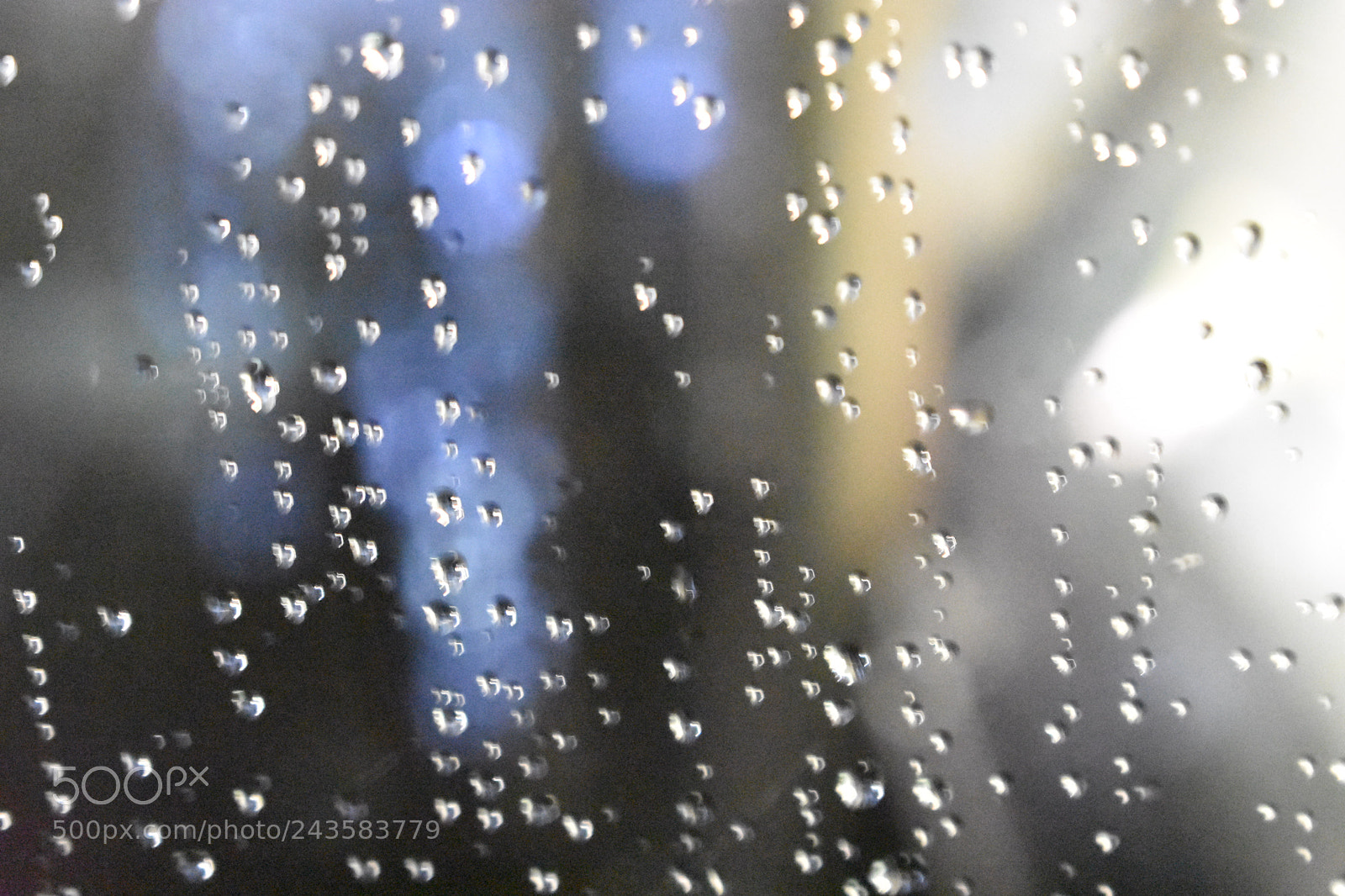 Nikon D3400 sample photo. Raindrops photography