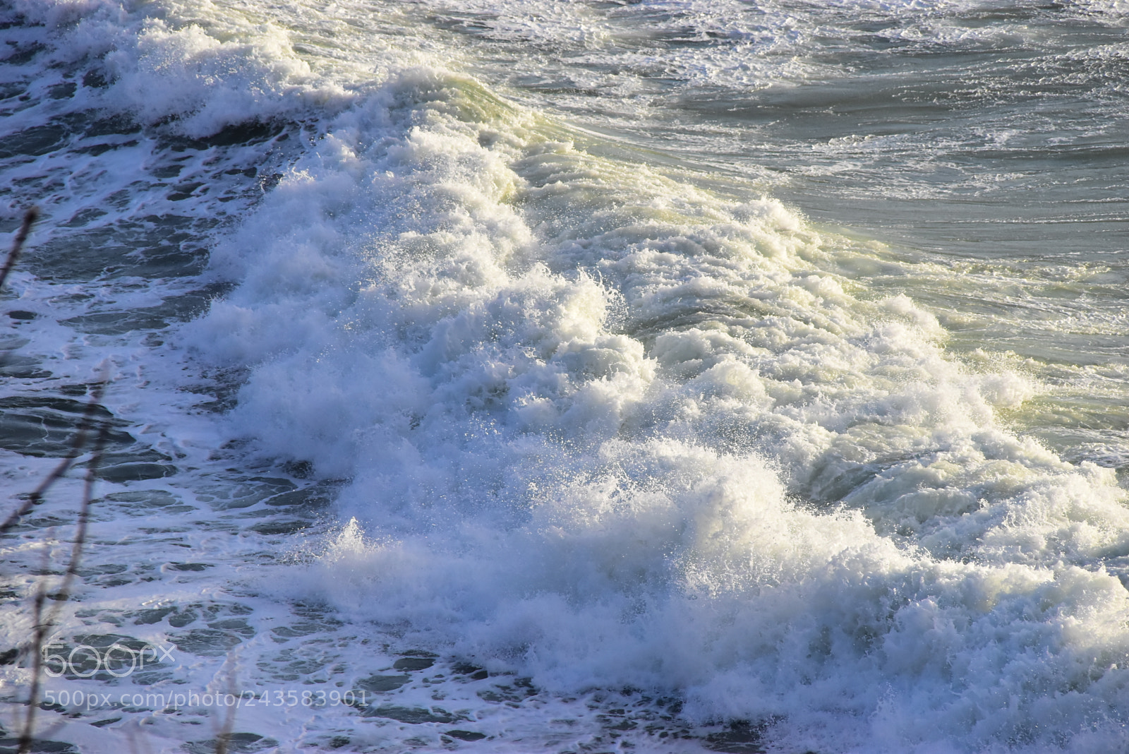 Nikon D5500 sample photo. 2018 in french brittany photography