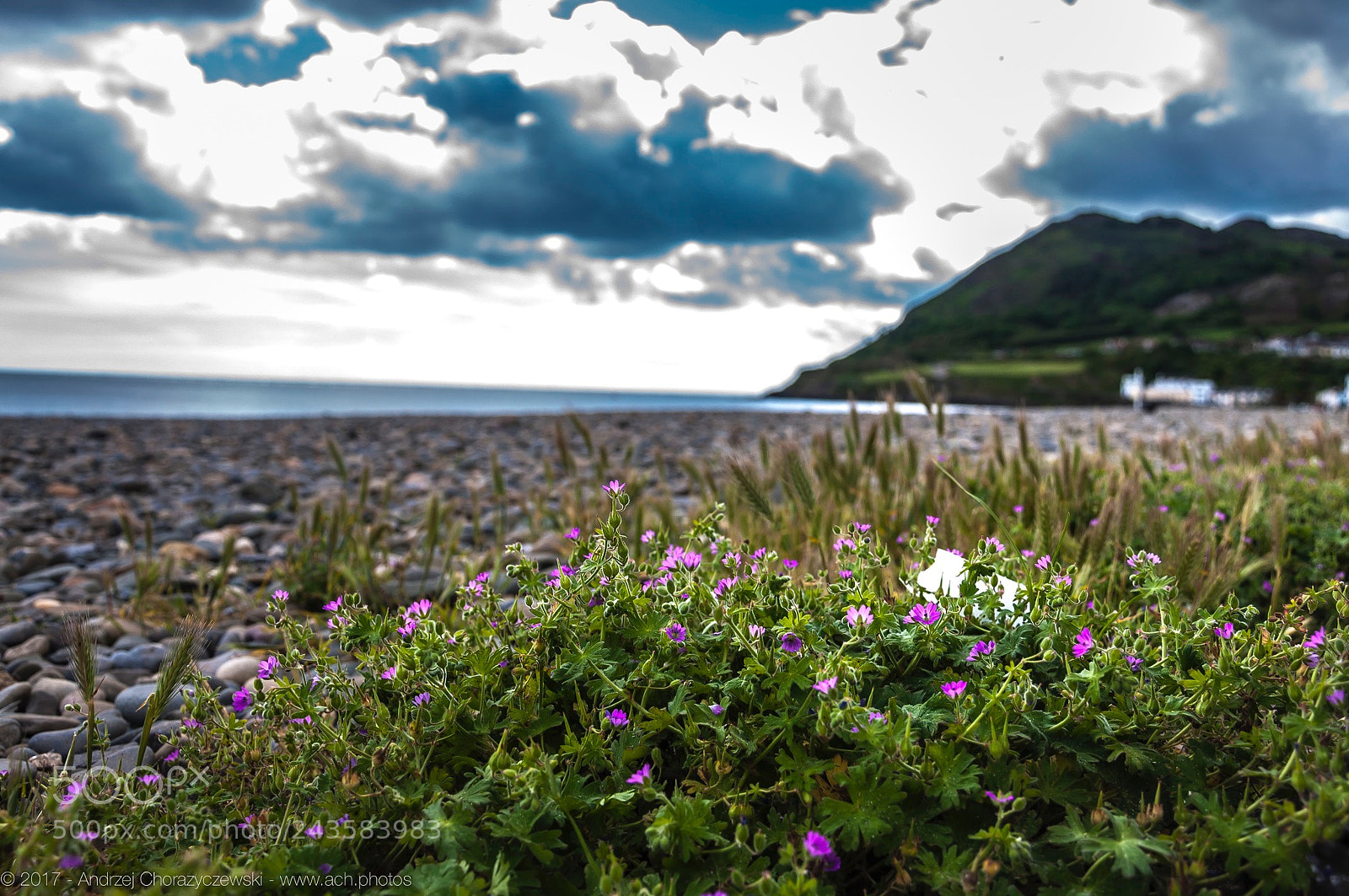 Nikon D90 sample photo. 2017 bray head, old photography