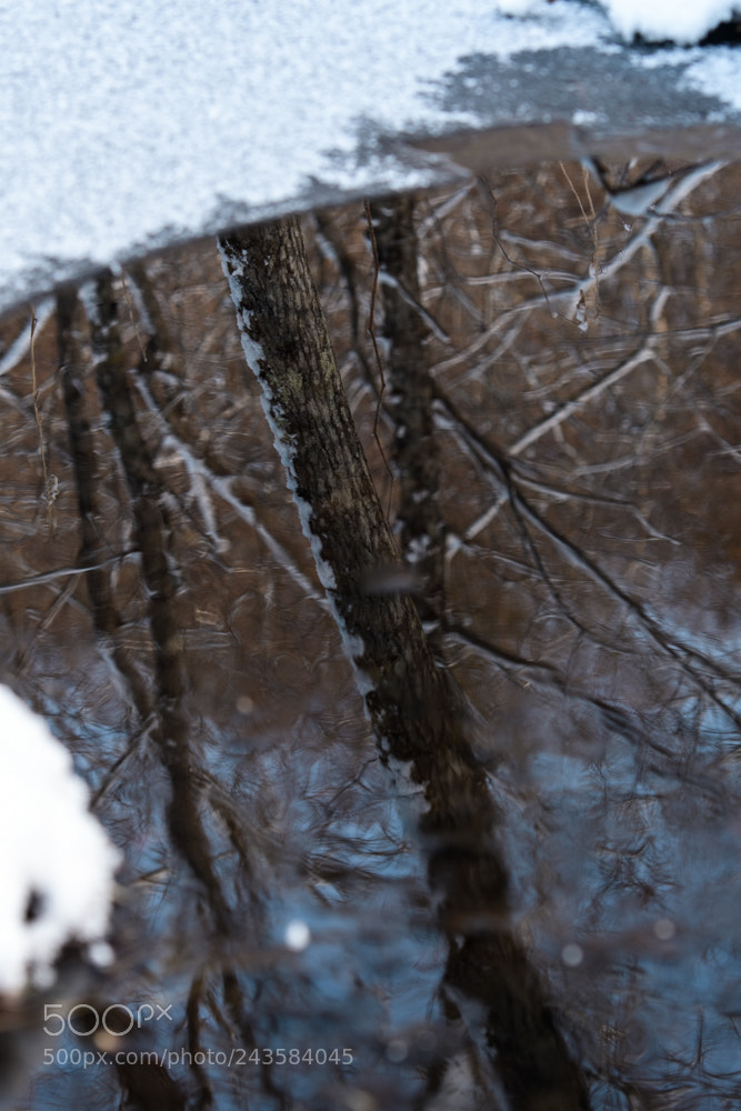 Nikon D500 sample photo. Another world photography