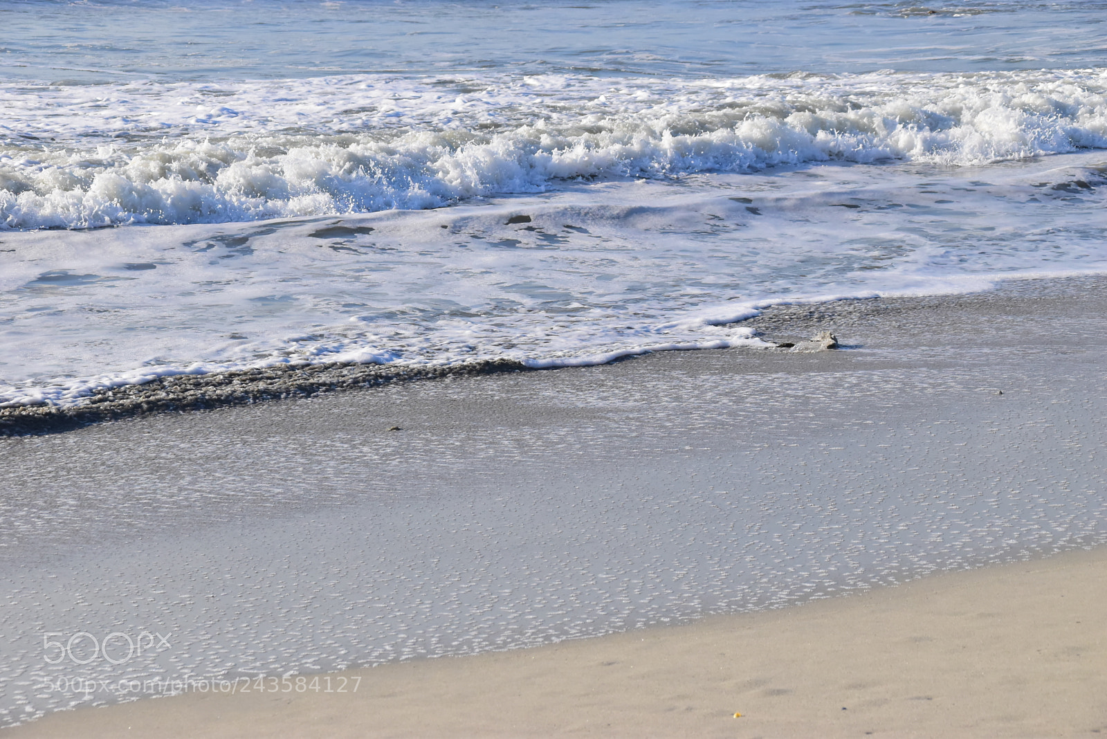 Nikon D5500 sample photo. 2018 in french brittany photography