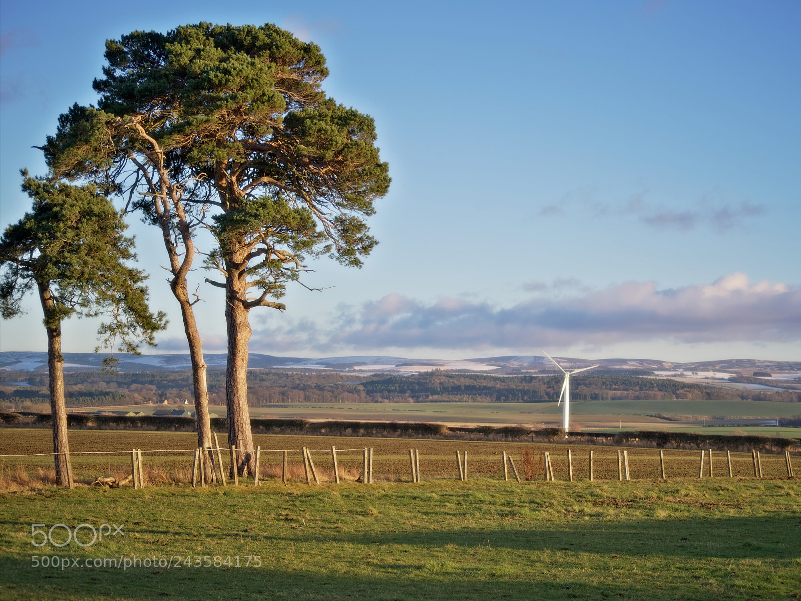Pentax K-1 sample photo. Trees, turbines, eh... stuff photography