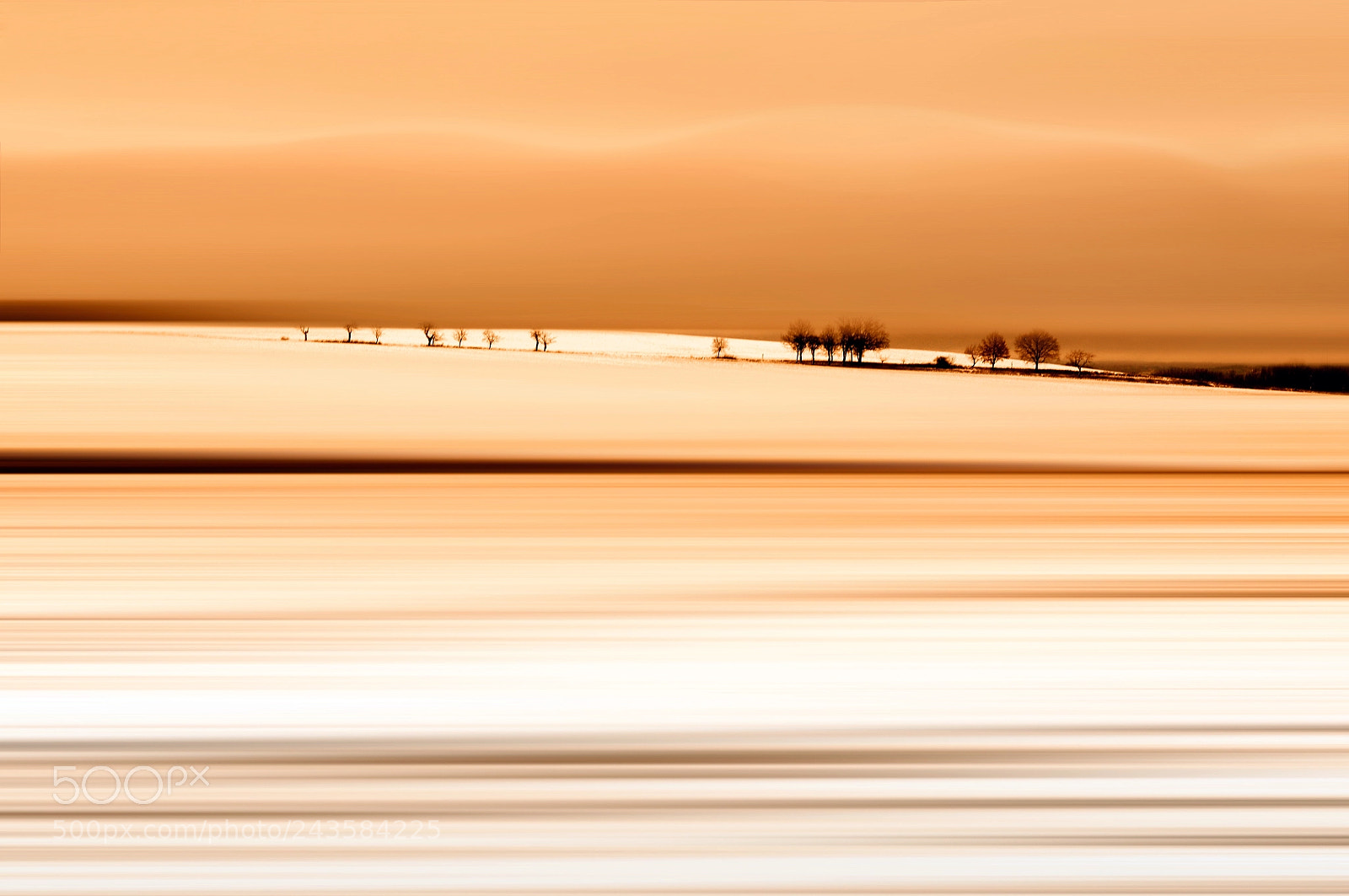 Nikon D90 sample photo. Blur photography