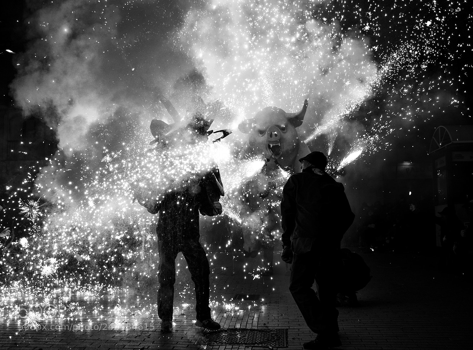 Nikon D7500 sample photo. Pigs on fire photography