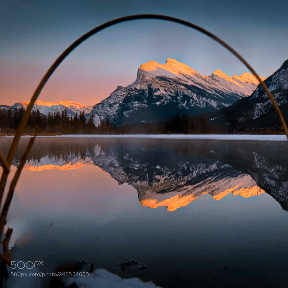 Nikon D500 sample photo. Dawn, canada photography