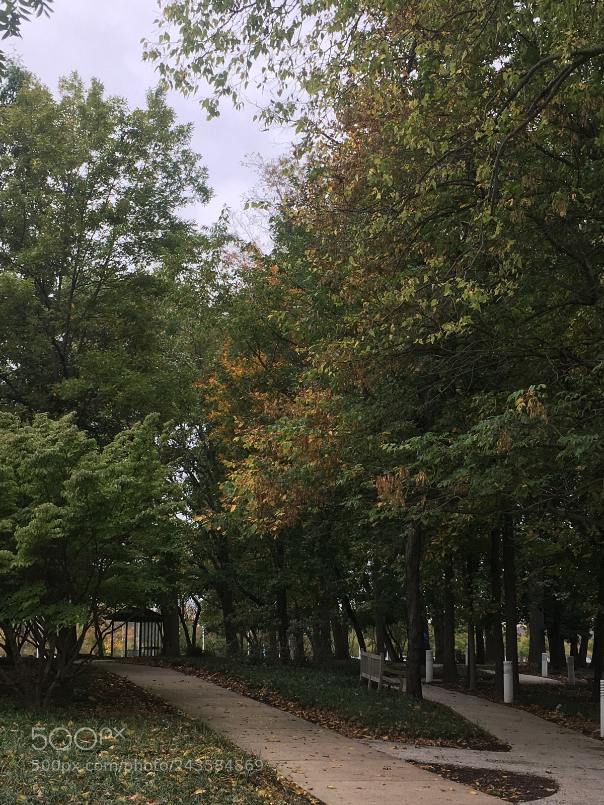 Apple iPhone 6s sample photo. Untitled photography