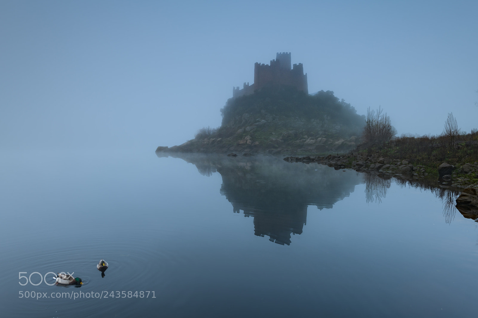 Nikon D850 sample photo. Castelo de almourol photography