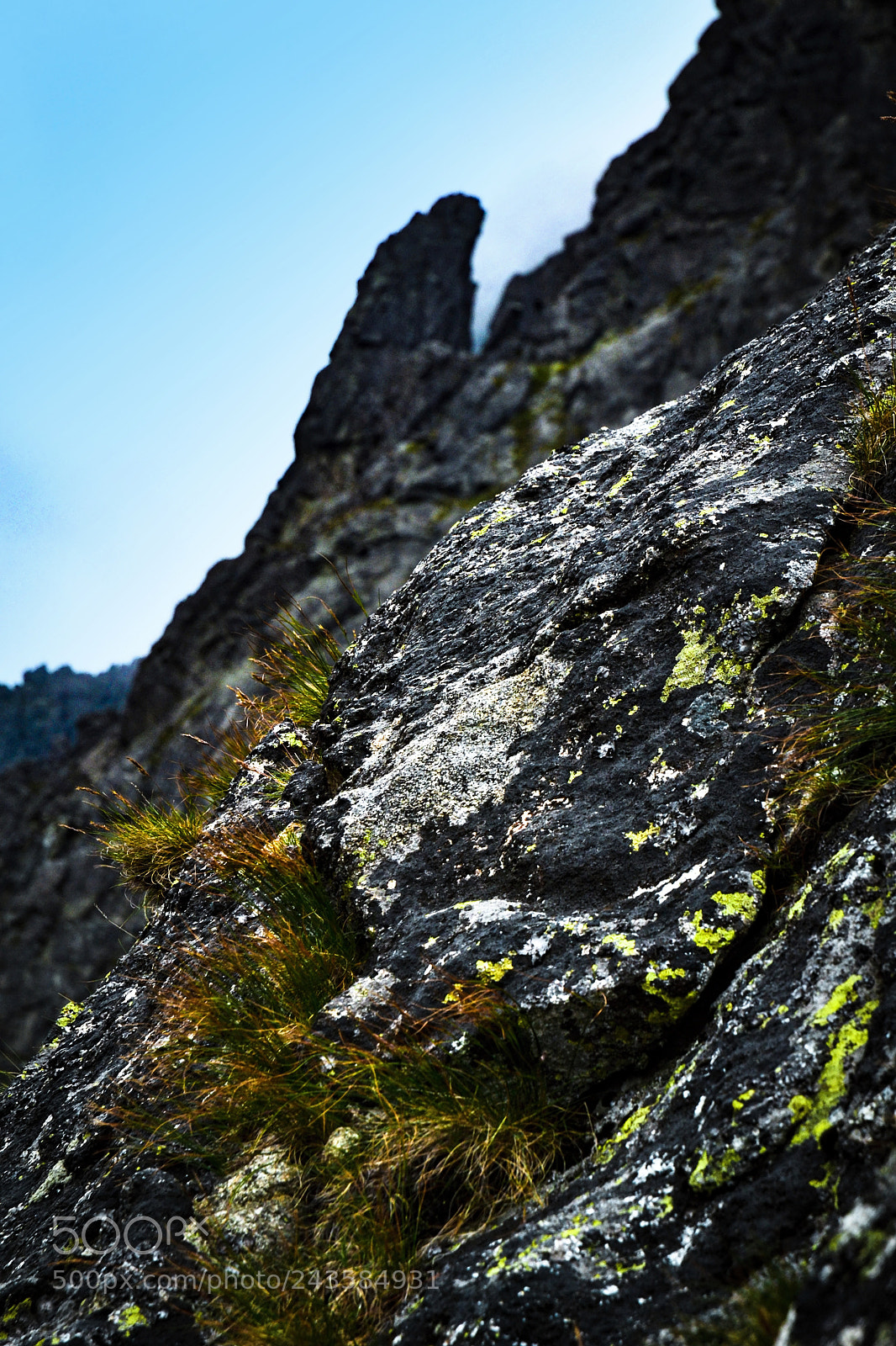 Nikon D3100 sample photo. Detail of mountain rock photography