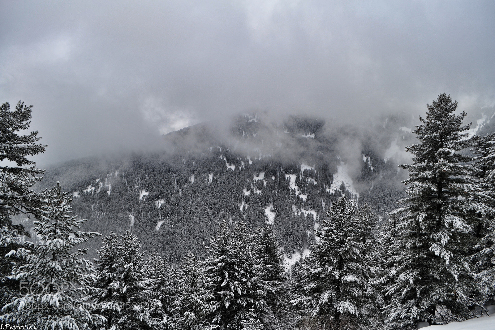 Nikon D3100 sample photo. Misty photography